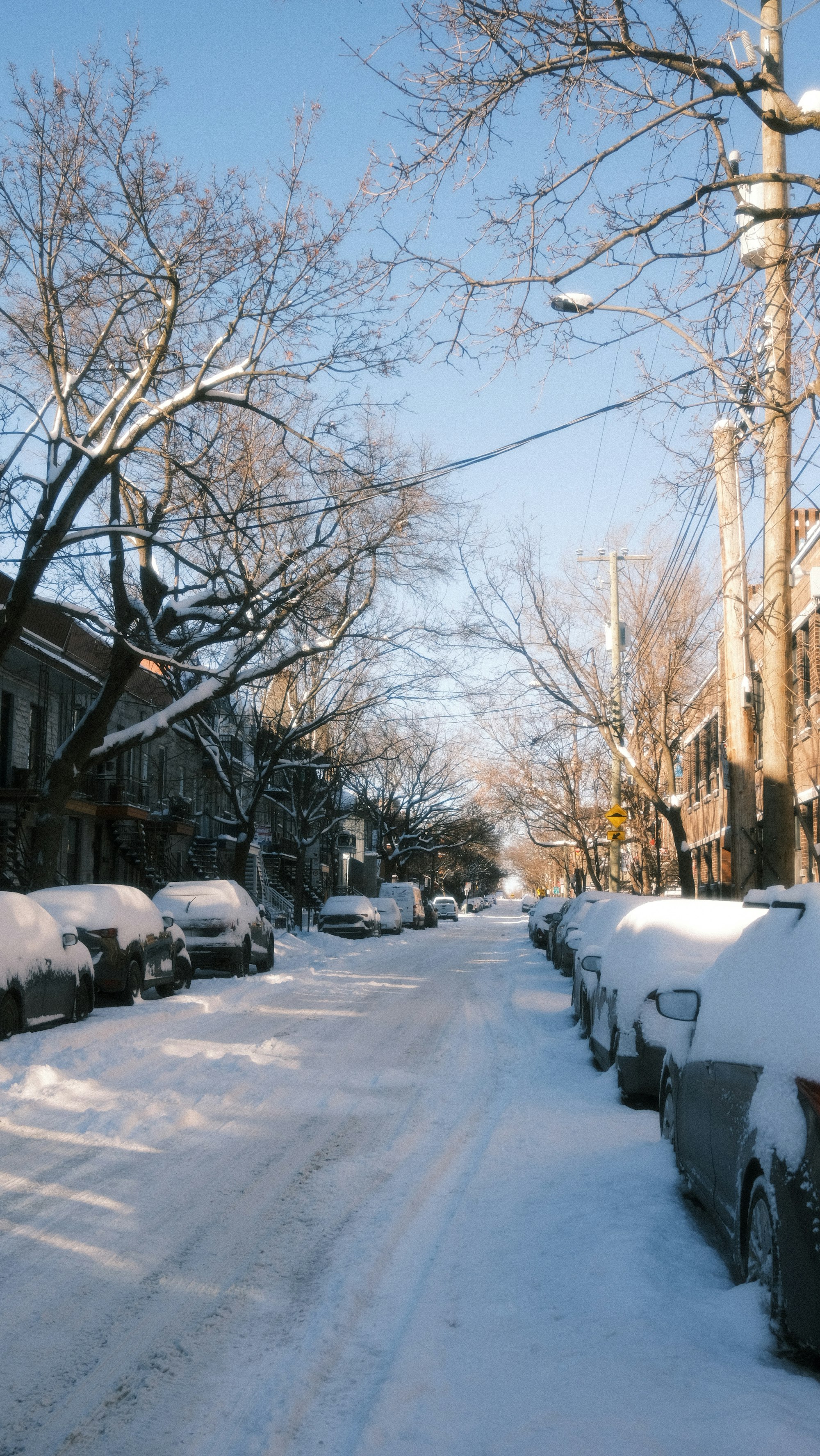 A residential street in Montreal under snow, lined with plexes and bare trees